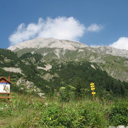 Hotel Dumanov Bansko Exteriér fotografie