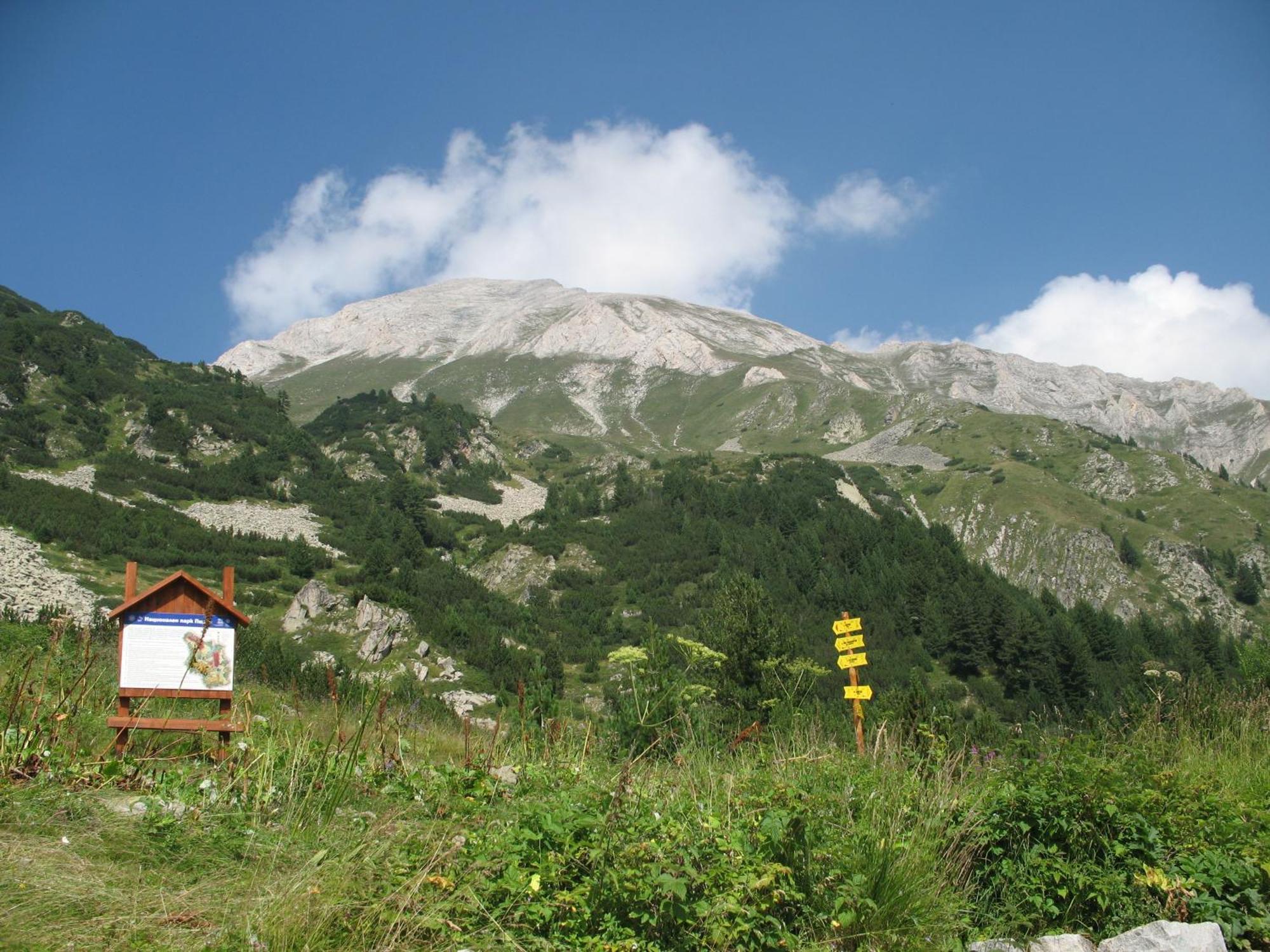 Hotel Dumanov Bansko Exteriér fotografie